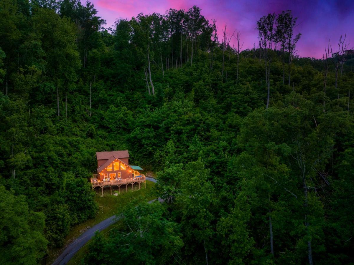 Mountainside - New Luxury Cabin-Fire Table-Hot Tub-3 Pools-Ps5-Bears جاتلينبرج المظهر الخارجي الصورة